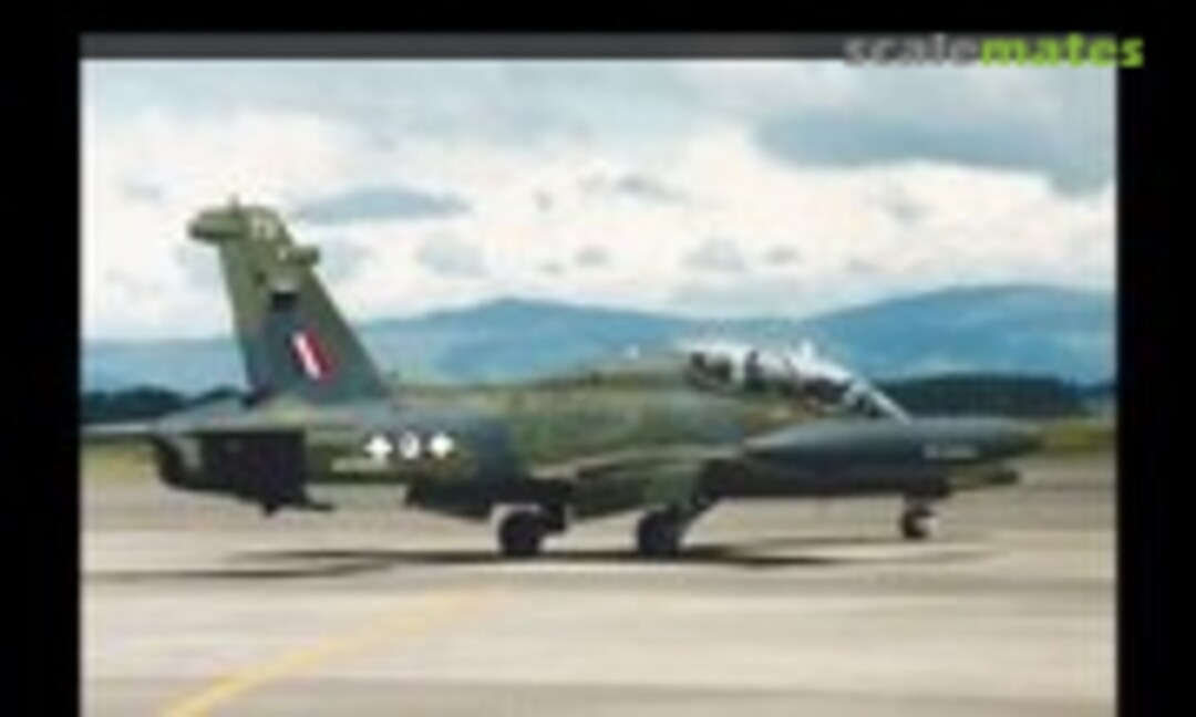 1:72 Aermacchi MB339 Dropped wing flaps (Air-Graphics Models AC-016) AC-016