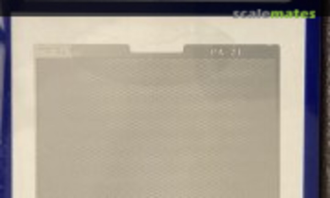 No Modelling Mesh 21 (Hasegawa PA-21) PA-21