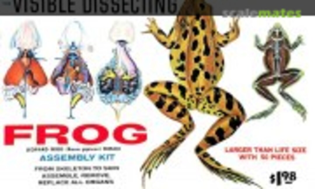 1:1 Frog (Palmer Plastics 800-198)