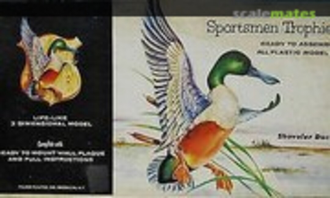 1:1 Shoveler Duck (Palmer Plastics 24-100)