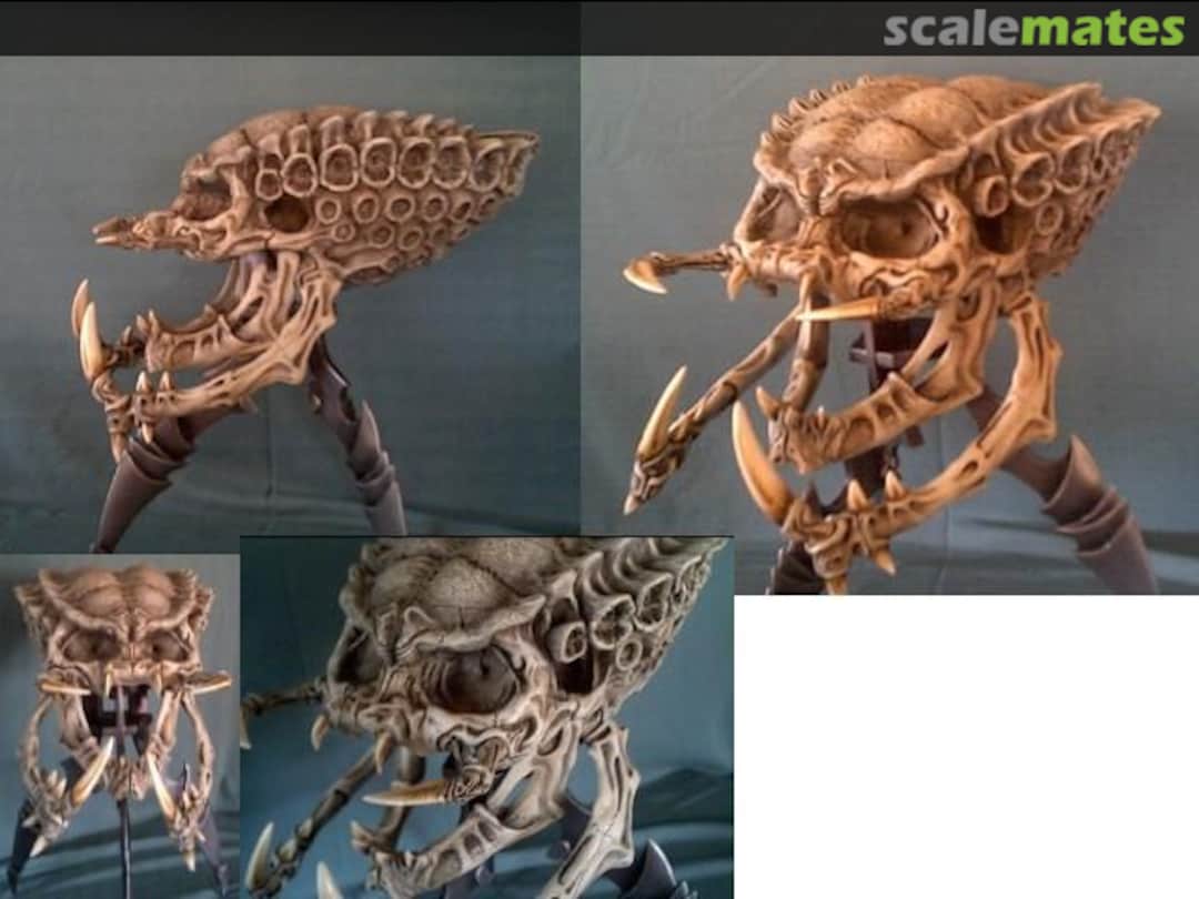 Boxart Predatory Alien Skull Grey Zon Boxart Predatory Alien Skull Grey Zon