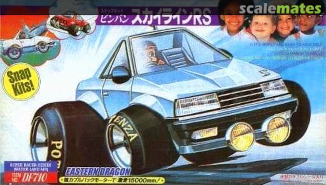 Boxart Skyline RS DF710 Sunny Boxart Skyline RS DF710 Sunny