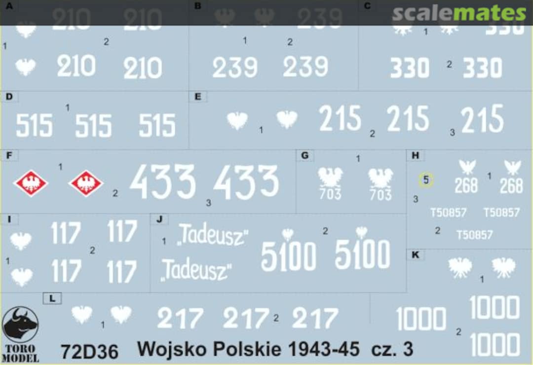 Boxart Polish Army 1943-45 72D36 ToRo Model Boxart Polish Army 1943-45 72D36 ToRo Model