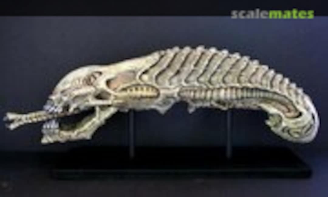 1:1 Alien skull (Grey Zon )