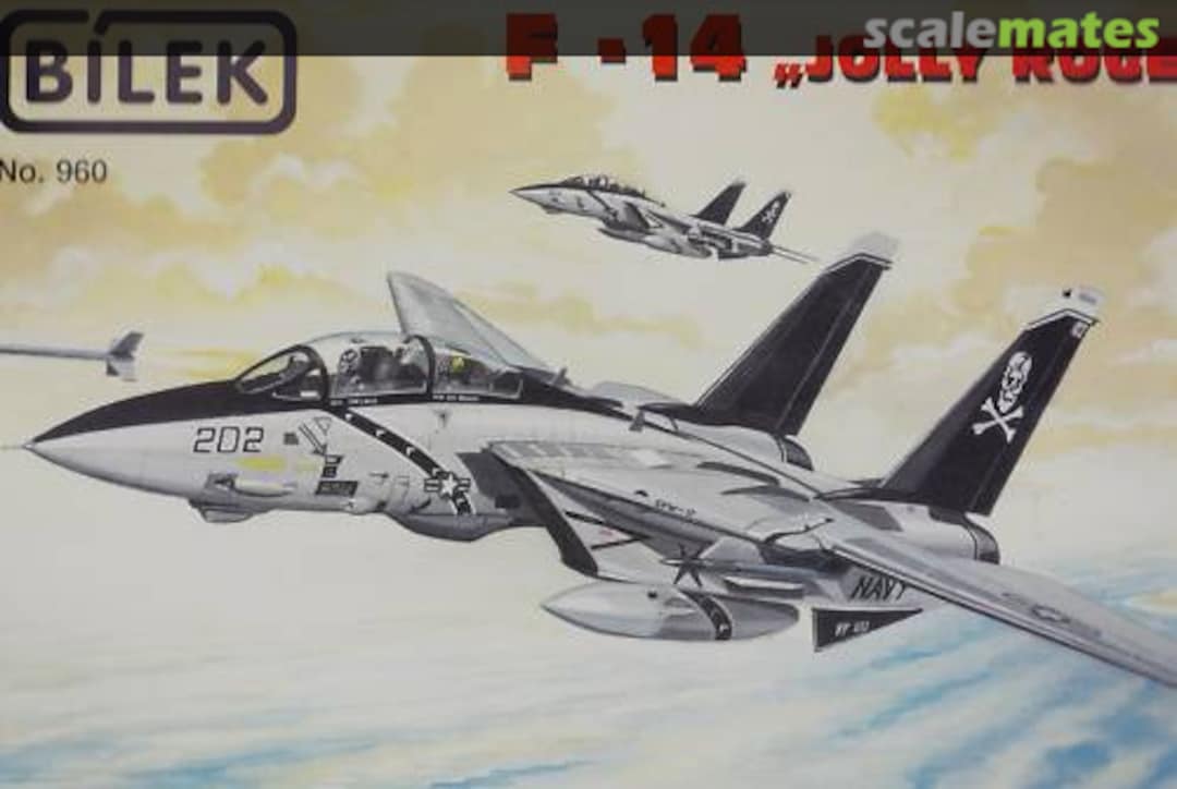 Boxart F-14 "Jolly Roger" 960 Bilek Boxart F-14 "Jolly Roger" 960 Bilek