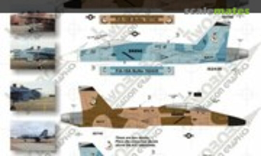 1:72 F/A-18A/B Hornets (TwoBobs Aviation Graphics 72-008)