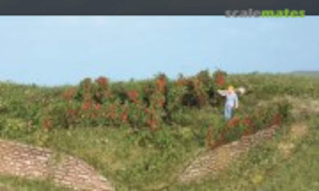 No 10 Rosenhecken und Büche 0,7 - 3 cm (Heki 19125) 19125