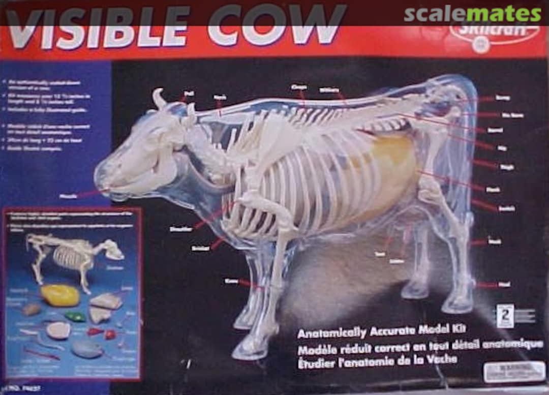 Boxart Visible Cow 74627 Skilcraft Boxart Visible Cow 74627 Skilcraft