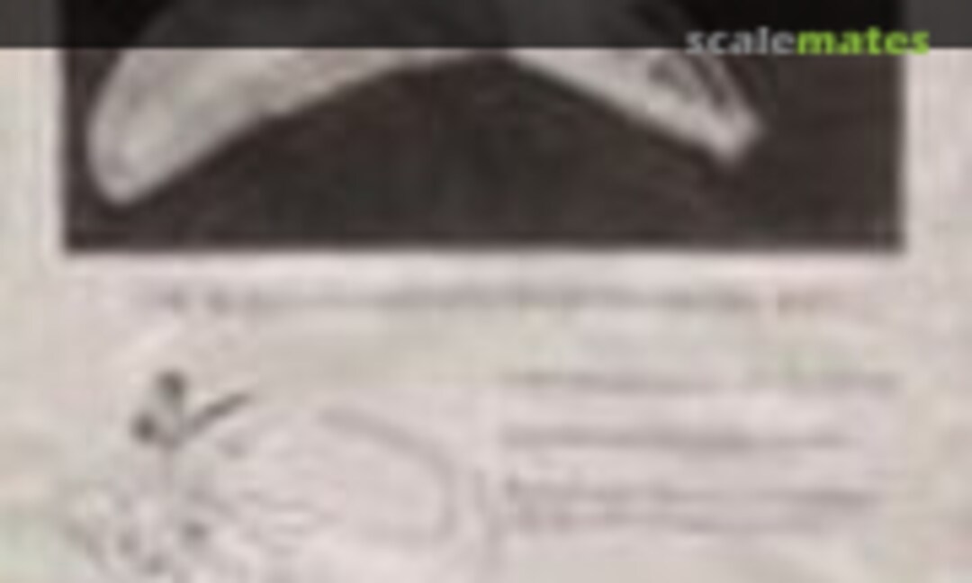 Hawk (Scale Model Technologies )