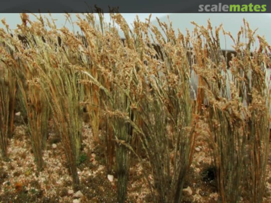 Boxart Wheat 95637 JTT Scenery Products Boxart Wheat 95637 JTT Scenery Products