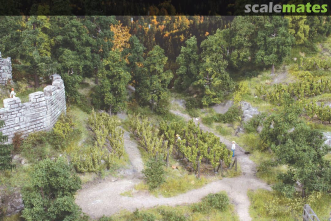 Boxart Weinreben 36 Stk. ca. 2,5 cm incl. Spannpfosten Neu 19136 Heki Boxart Weinreben 36 Stk. ca. 2,5 cm incl. Spannpfosten Neu 19136 Heki