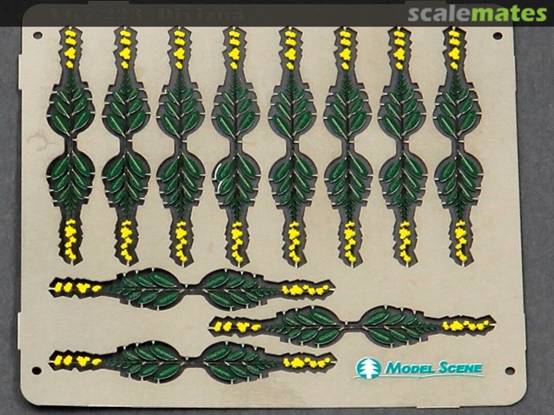 Contents Mullein VG7-223 Model Scene Contents Mullein VG7-223 Model Scene