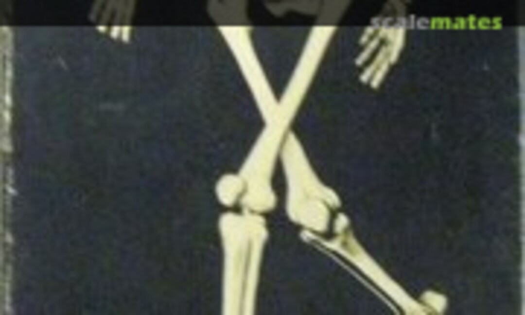 1:6 Modern Man Skeleton (Educational Products  5400)