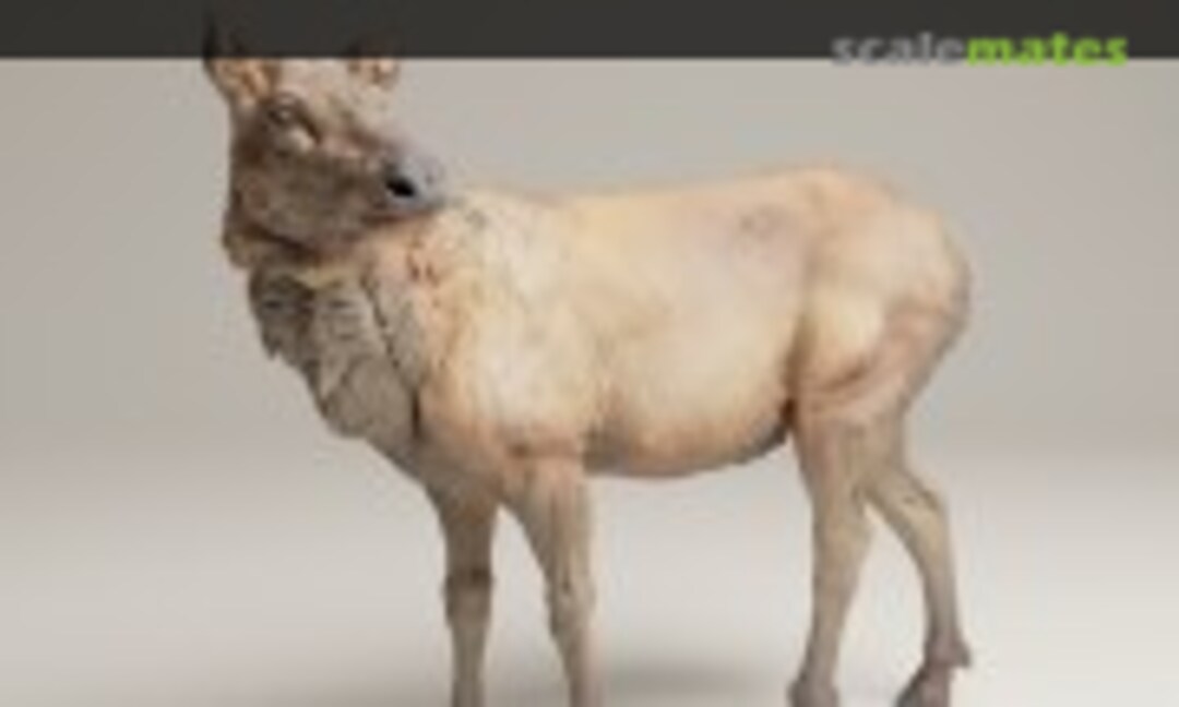 1:72 Rocky Mountain Elk - Female standing (EMP3d 72130630) 72130630