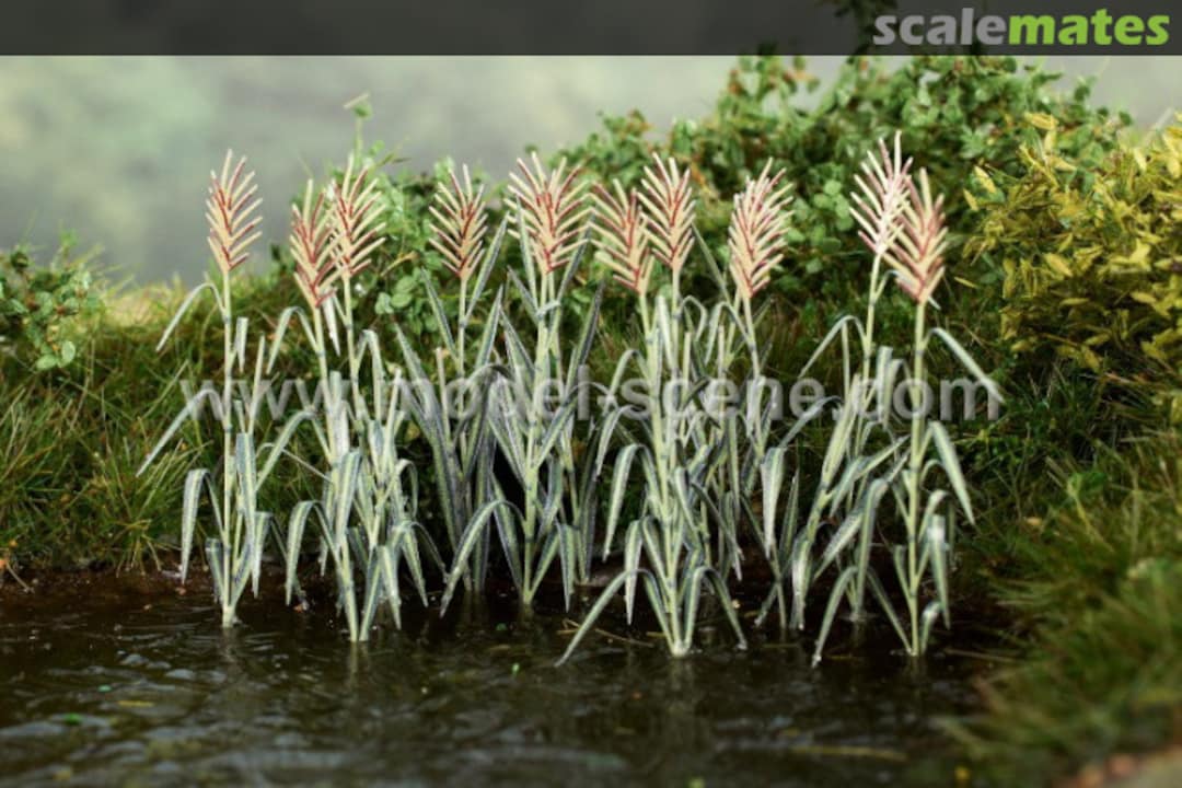 Boxart Reeds (1 Coloured Photoetch sheet) VG7-225 Model Scene Boxart Reeds (1 Coloured Photoetch sheet) VG7-225 Model Scene