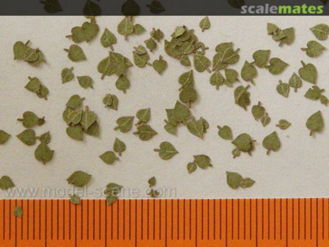 Boxart Leaves - Lime - Green L3-003 Model Scene Boxart Leaves - Lime - Green L3-003 Model Scene