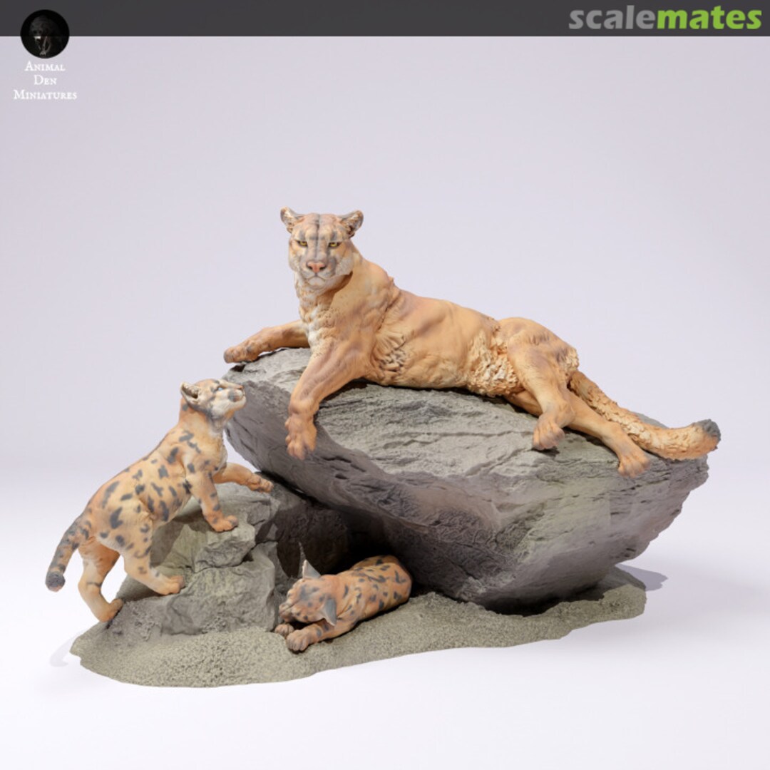 Boxart Mountain Lion - Female with cubs 25130711 EMP3d Boxart Mountain Lion - Female with cubs 25130711 EMP3d