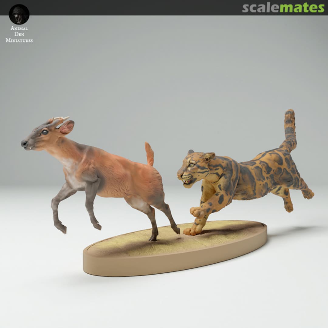 Boxart Clouded Leopard - Male hunting Muntjac 25130713 EMP3d Boxart Clouded Leopard - Male hunting Muntjac 25130713 EMP3d