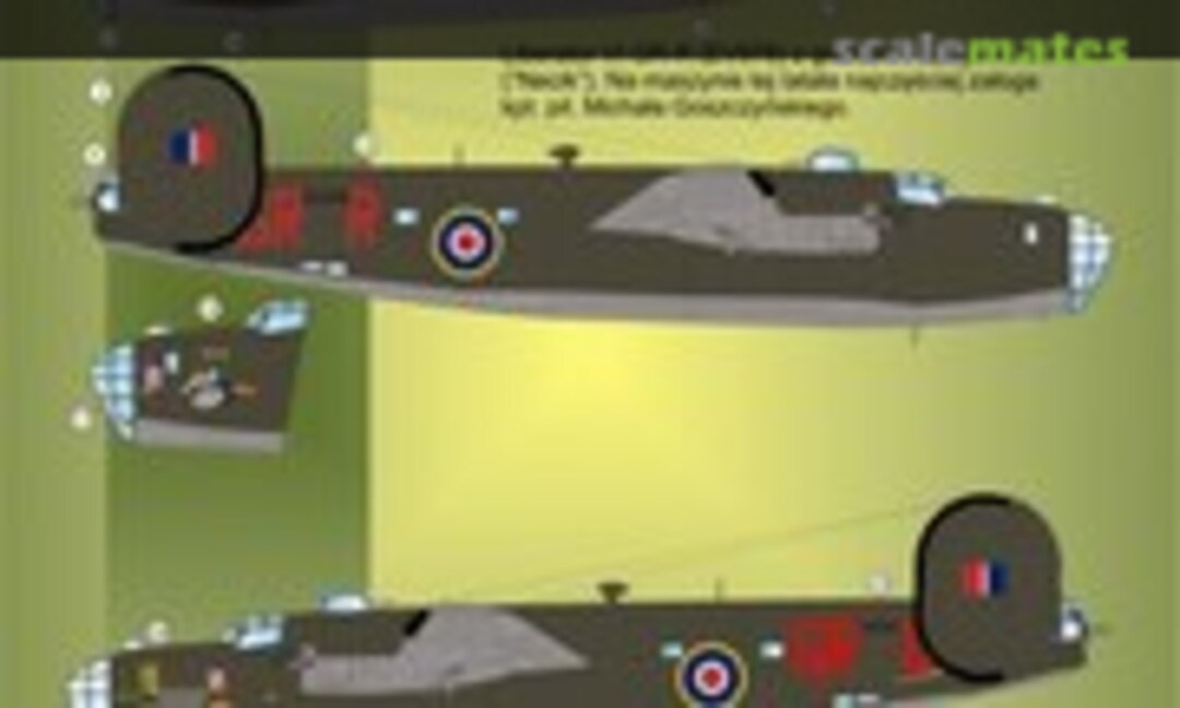 1:48 Polish Liberators vol.1 (ModelMaker D48032) D48032