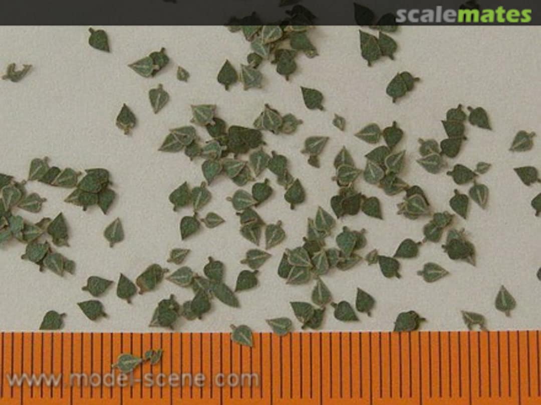 Boxart Birch Leaves - Green (80pcs) L4-004 Model Scene Boxart Birch Leaves - Green (80pcs) L4-004 Model Scene