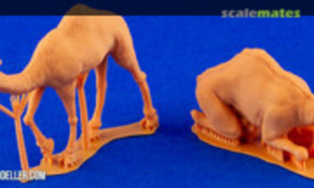 1:72 Dromedary (2 pcs) (CMK F72397) F72397