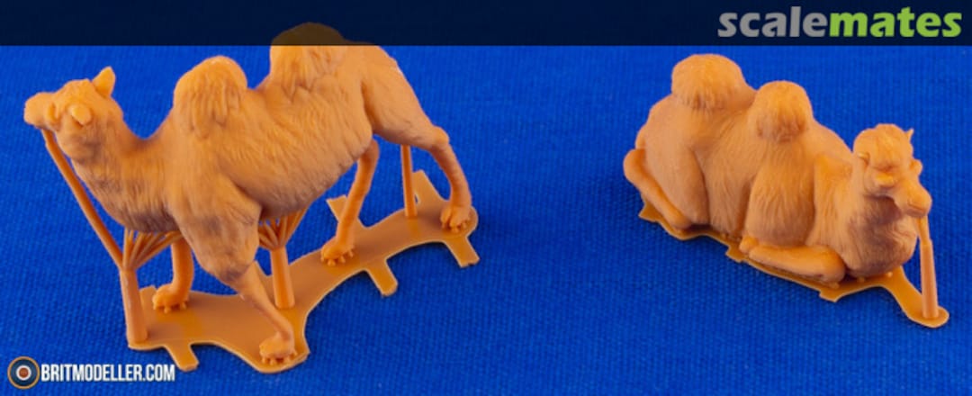 Boxart Bactrian Camel (2 pcs) F72399 CMK Boxart Bactrian Camel (2 pcs) F72399 CMK