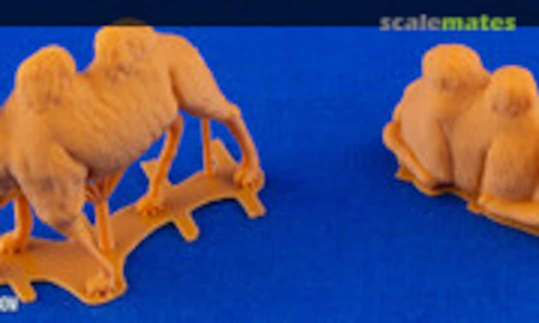 1:72 Bactrian Camel (2 pcs) (CMK F72399) F72399