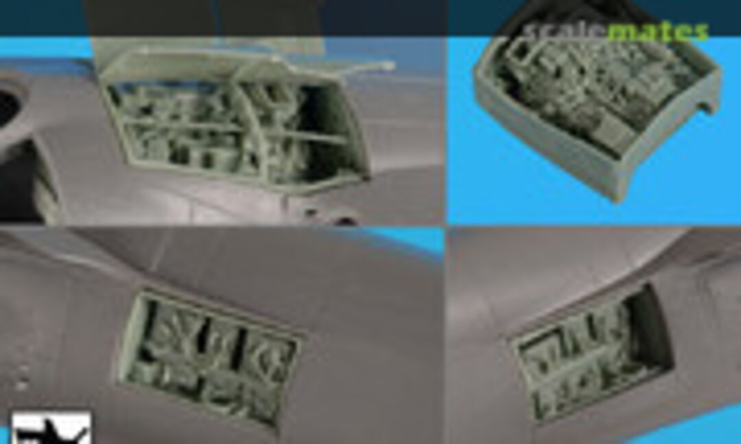 1:48 Harrier GR 1/3 engine & electronics (Black Dog A48117) A48117