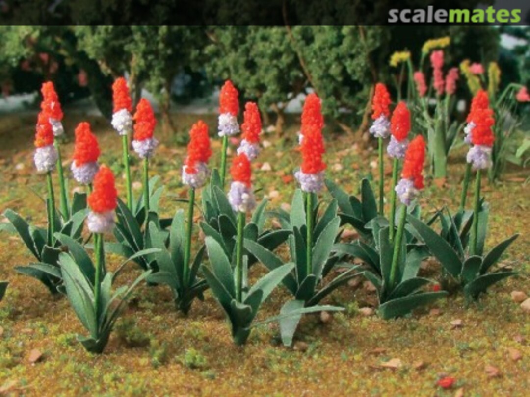 Boxart Primula Vialli 95595 JTT Scenery Products Boxart Primula Vialli 95595 JTT Scenery Products