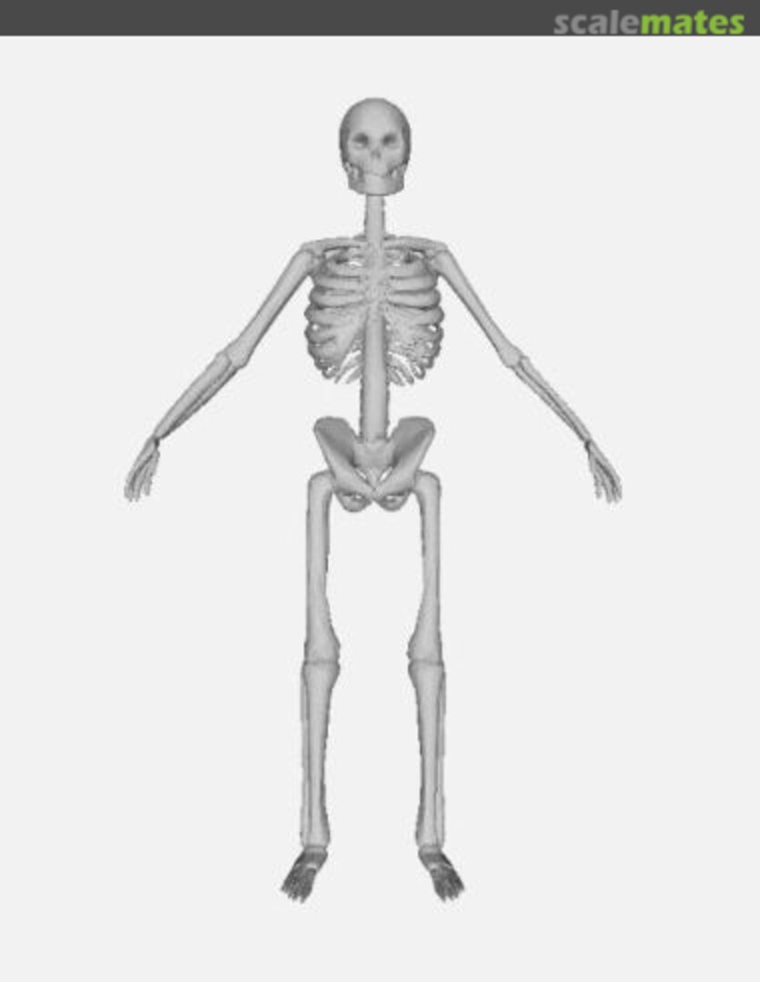 Boxart Skeleton Standing Open Arms Figure 2948 Printle KM Homme Boxart Skeleton Standing Open Arms Figure 2948 Printle KM Homme