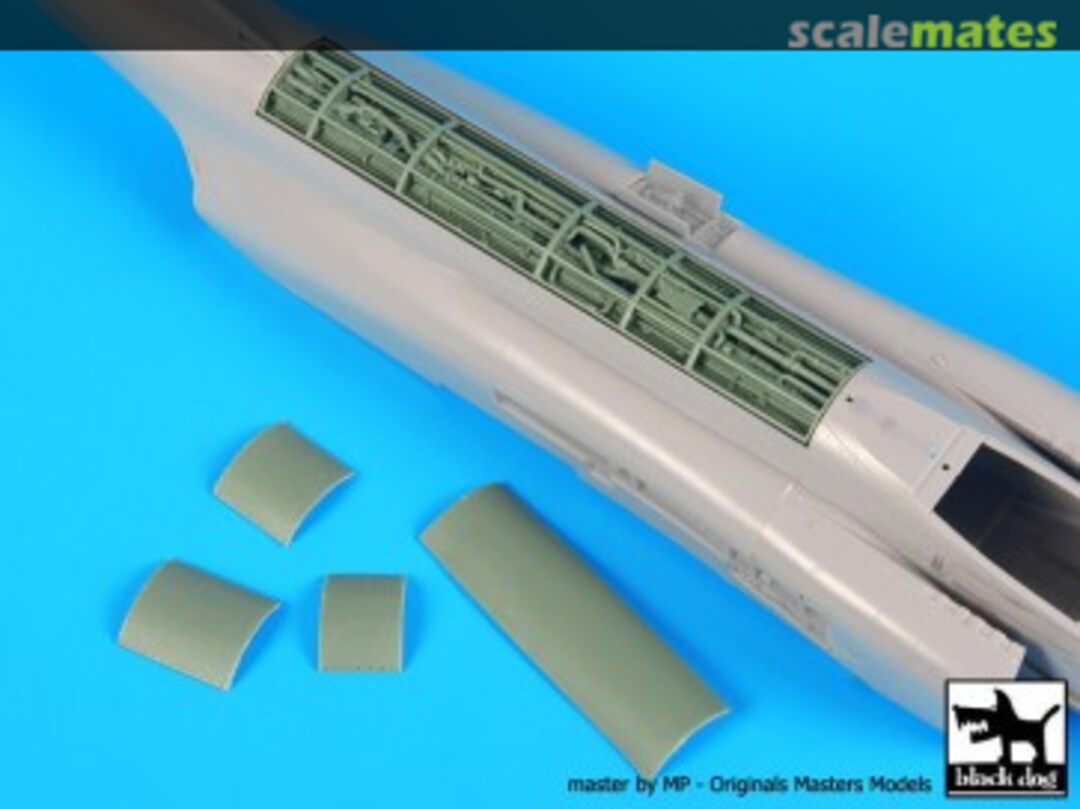 Boxart F-4J Spine Electronics A48088 Black Dog