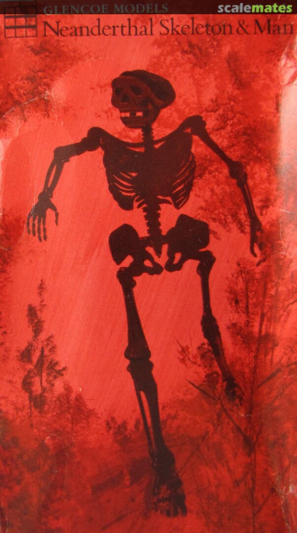 Boxart Neanderthal Skeleton & Man 05912 Glencoe Models