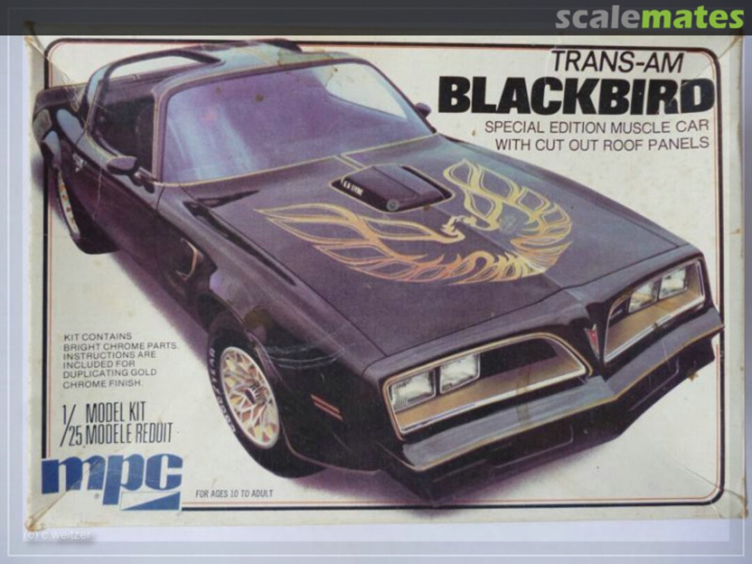 Boxart Trans-Am Blackbird 1-0777 MPC