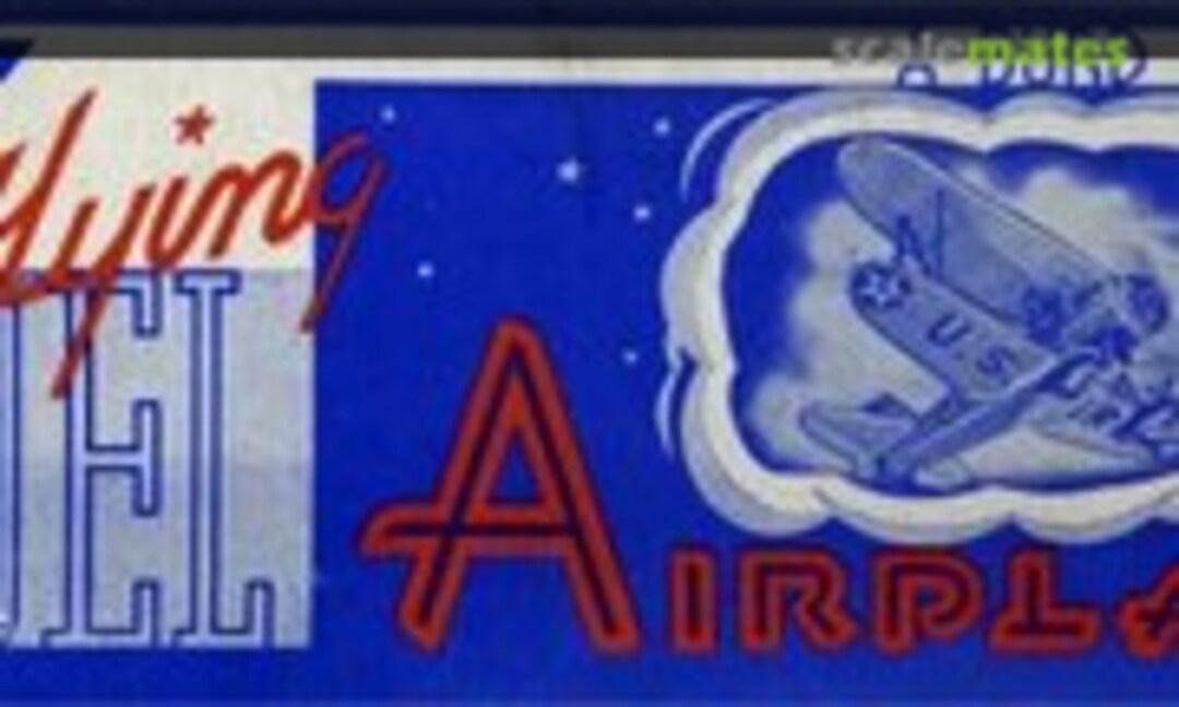 1:24 Curtiss P-6E Hawk (Burd 10)