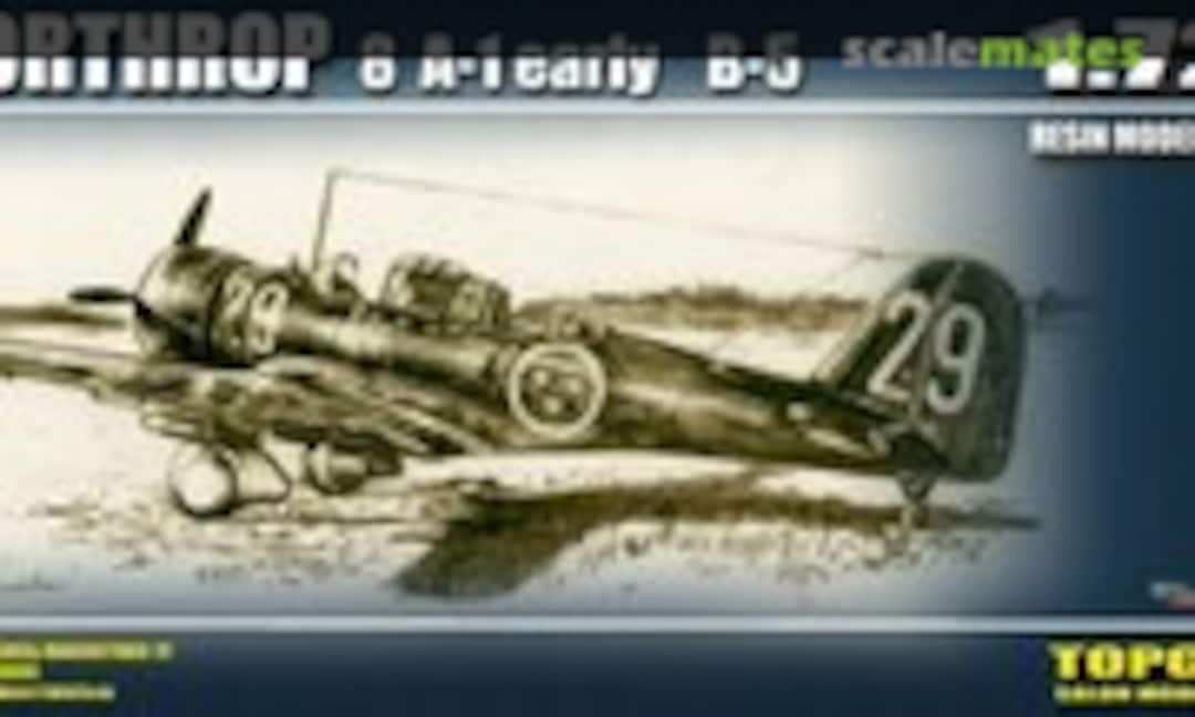 1:72 Northrop 8A-1 (Top Gun Model )