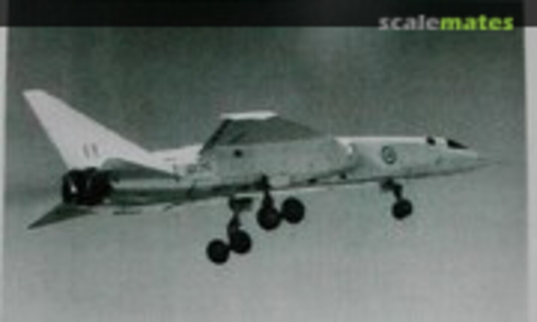 1:144 TSR.2 Skybolt Missiles and Pylons (RetroWings RW44139) RW44139