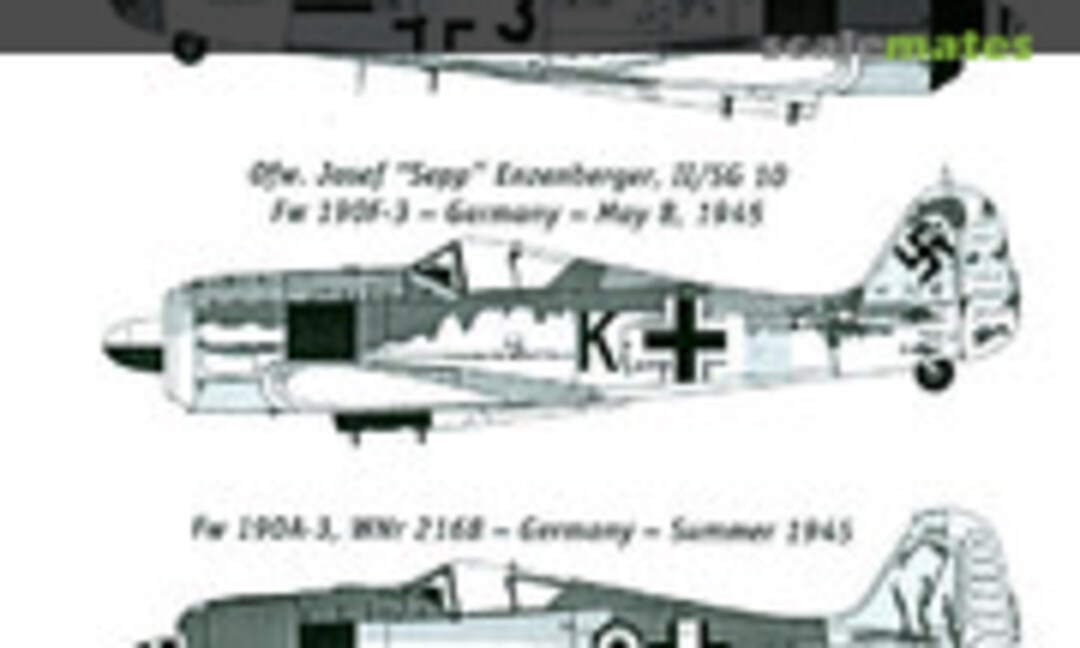 1:48 Focke-Wulf Fw 190 #10 (Third Group Decals 48-045) 48-045