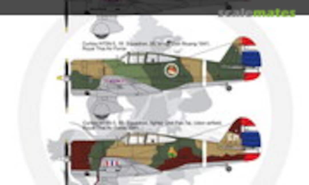 1:48 Curtiss H-75N (ASK 200-D48003) 200-D48003