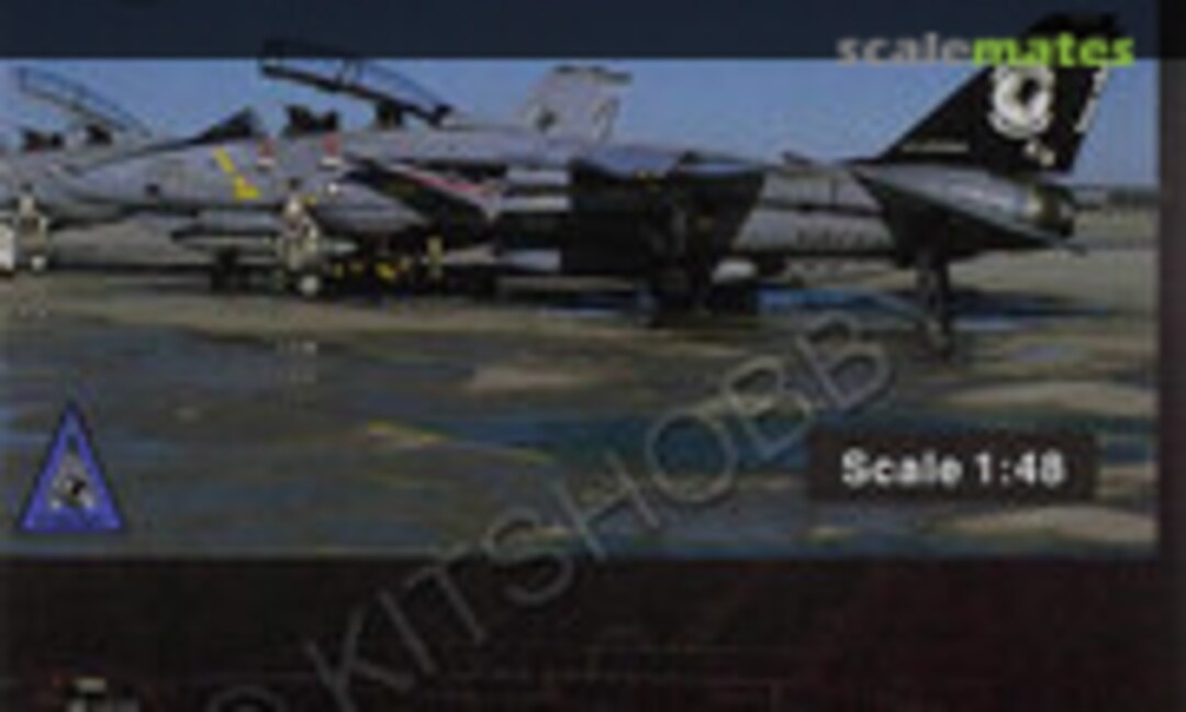 1:48 F-14A VF-14 Tophatters 2001 (Toptier Hobby Studio 1448011) 1448011