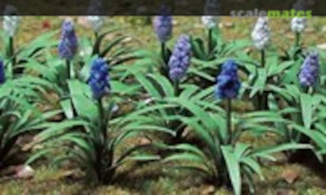 1:48 Muscaris (JTT Scenery Products 95599) 95599