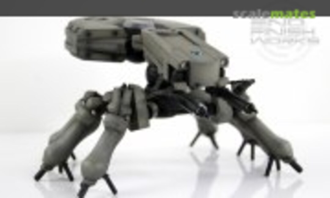 No T08A2 Arachnida (Unknown )