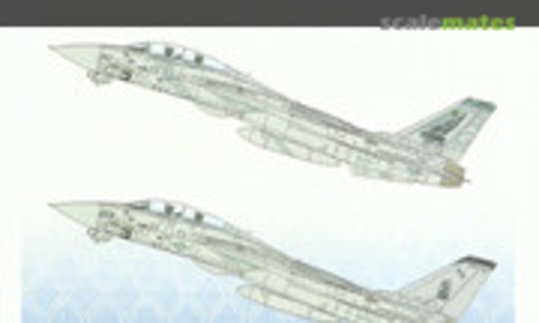 1:48 Kennedy's Tomcats 2002/03 (AeroMaster 48-605) 48-605