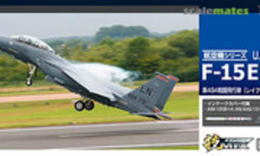 1:144 USAF F-15E 494th Fighter Squadron (Lakenheath) (Tomytec AC25)