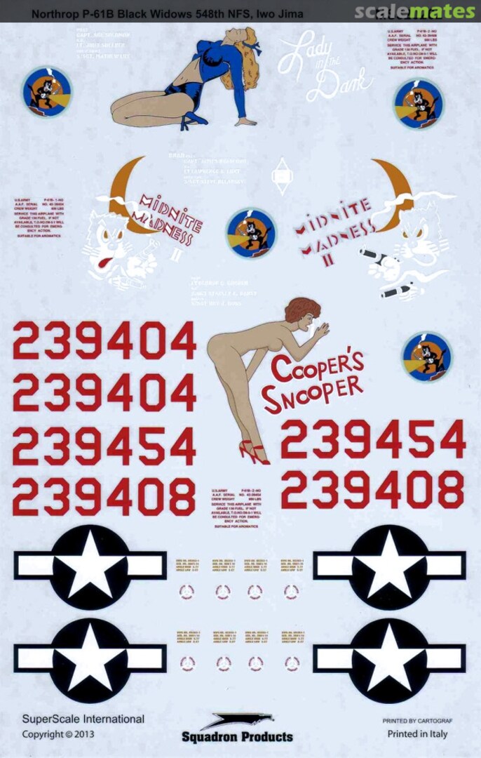 Boxart Northrop P-61B Black Widows MS320262 SuperScale International