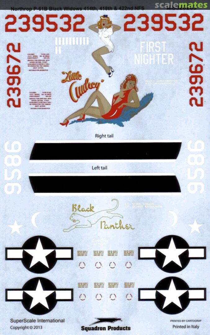 Boxart Northrop P-61B Black Widows MS320263 SuperScale International Boxart Northrop P-61B Black Widows MS320263 SuperScale International