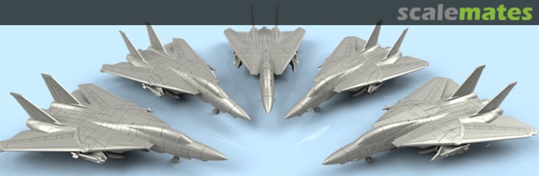Boxart Grumann F-14 D Tomcat parking folded wings (5 planes) 3D400083 L'Arsenal