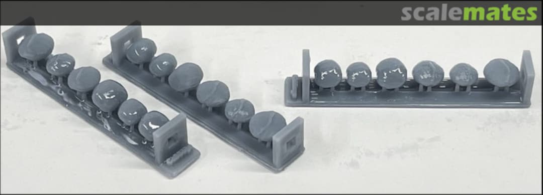 Boxart Cabbage - 6 different 35060317 EMP3d Boxart Cabbage - 6 different 35060317 EMP3d