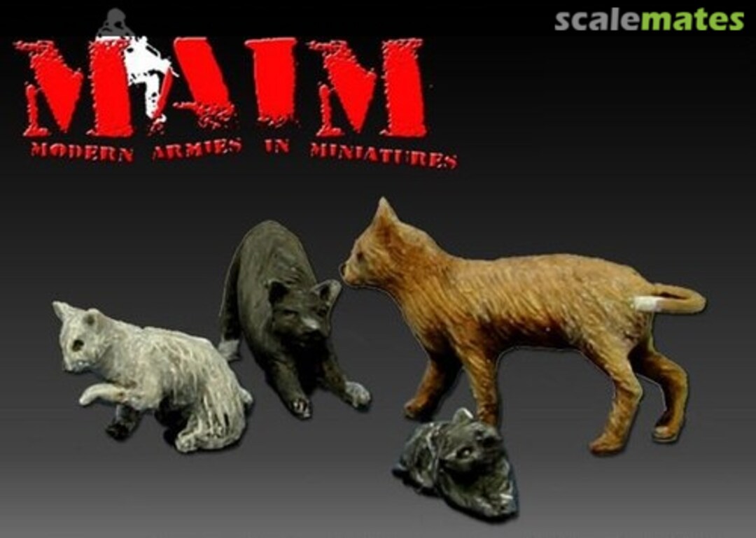 Boxart Katzen MAIM35076 MAiM