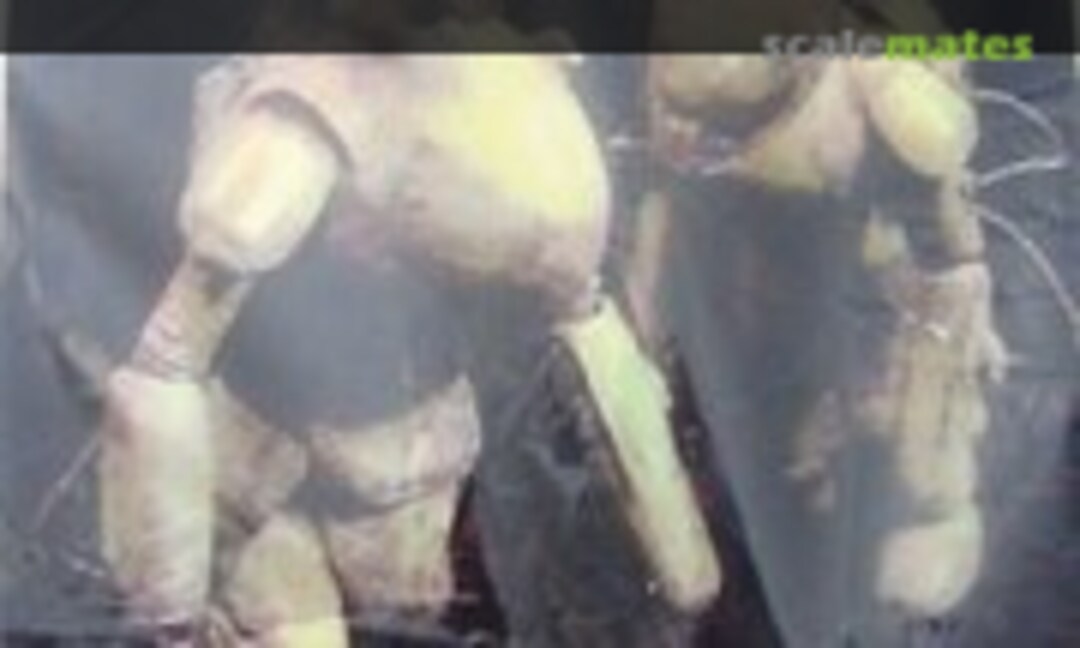 1:16 Reynard (Silicon Tribe Series No.4)