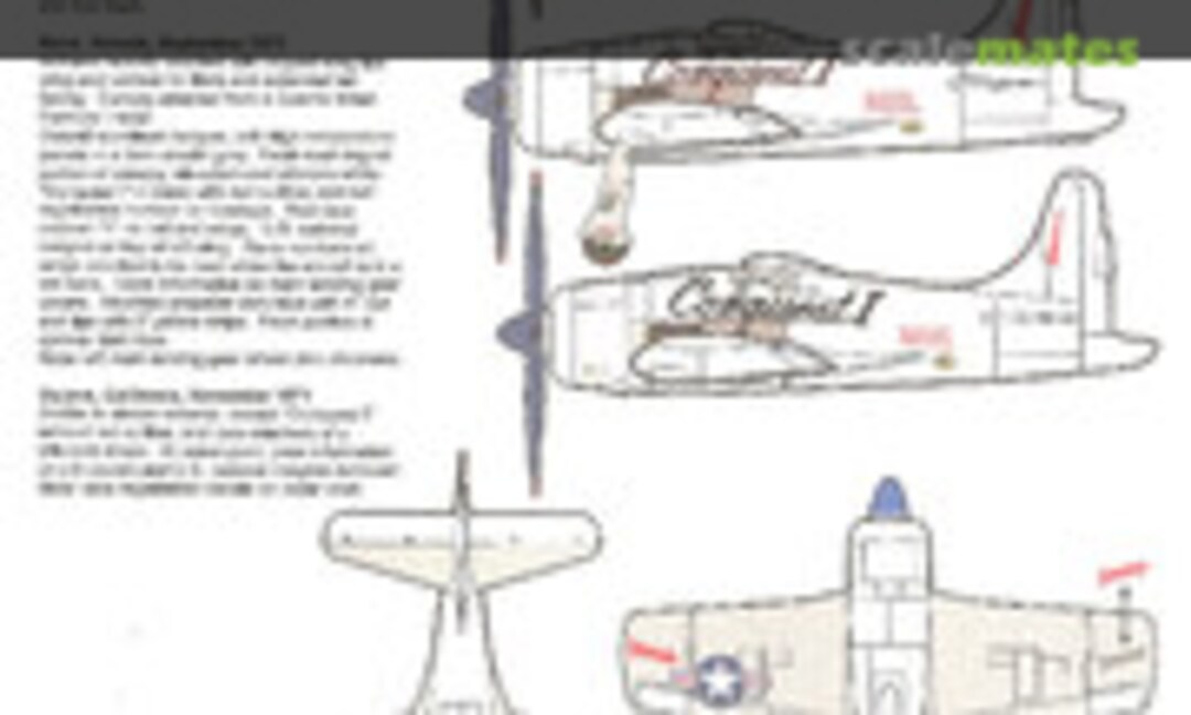 1:48 F8F Conquest One (Lone Star Models u/k) u/k